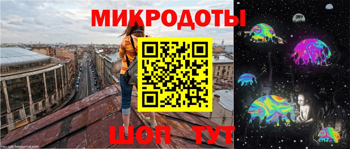 Псилоцибиновые грибы Psilocybe Партизанск